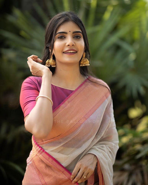 Pure Handwoven Maheshwari Handloom Tissue Silk Saree